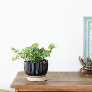 鉢 植木鉢 陶器鉢おしゃれ 室内 鉢カバー 背...の詳細画像2