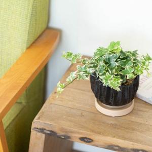 鉢 植木鉢 陶器鉢おしゃれ 室内 鉢カバー 背...の詳細画像3
