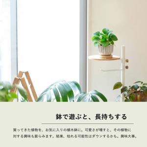 鉢 植木鉢 陶器鉢おしゃれ 室内 鉢カバー 背...の詳細画像4