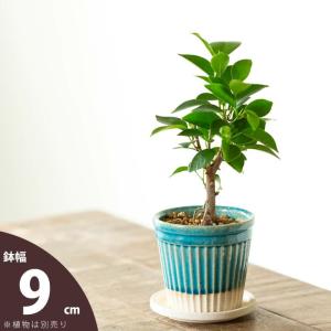 植木鉢 おしゃれ 室内 陶器 楕円形の植木鉢 Lサイズ : e-花屋さん
