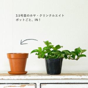 鉢 植木鉢 おしゃれ 室内 鉢カバー エコ素材...の詳細画像2