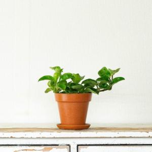 鉢 植木鉢 おしゃれ 室内 鉢カバー エコ素材...の詳細画像3