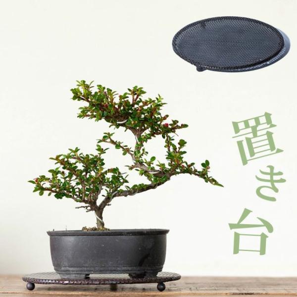 受け皿代わりに♪アイアンプレート（直径18cm）