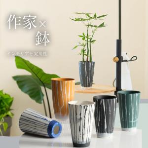 八角鉢 5寸 5個＋1個付き 検/八角 プラ 鉢 アガベ鉢 台湾鉢 チタノタ