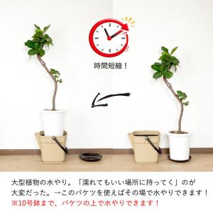水やり時間、減らせます 便利なバケツ 園芸 観...の詳細画像4