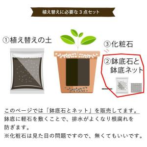 【植え替えの必需品】鉢底石(軽石)と鉢底ネット...の詳細画像3