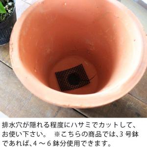 【植え替えの必需品】鉢底石(軽石)と鉢底ネット...の詳細画像4
