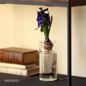 ボヘミアングラス 500PKカット 花瓶（フラワーベース） : コリーネ