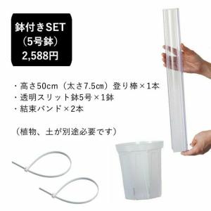 猫の登り棒 ねこの登り棒 花森家 猫のぼり棒 ...の詳細画像5