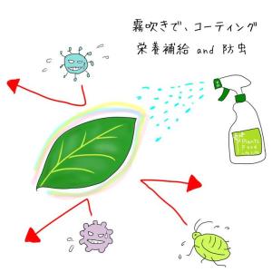 活力剤 液肥 葉水 スプレー 手入れ 手軽 簡...の詳細画像3