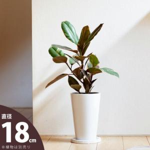テラコッタ植木鉢 大型 11号 赤土 モスポットシリーズ ms-400b11e