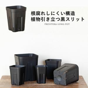 黒いスリット鉢 プレステラ深型 シンプル スタイリッシュ 緑が引き立つ ポロプロピレン ブラック スリット 鉢 観葉植物