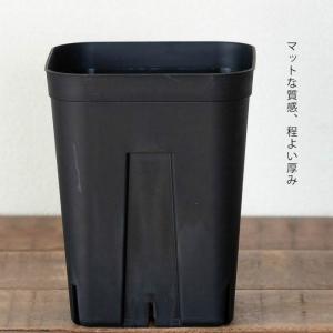 黒いスリット鉢 プレステラ深型 シンプル スタ...の詳細画像2