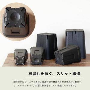 黒いスリット鉢 プレステラ深型 シンプル スタ...の詳細画像3