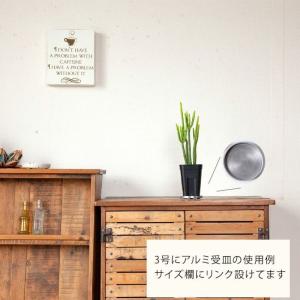 黒いスリット鉢 プレステラ深型 シンプル スタ...の詳細画像5