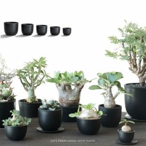 鉢 植木鉢 樹脂 おしゃれ 黒のベースポット(...の詳細画像1