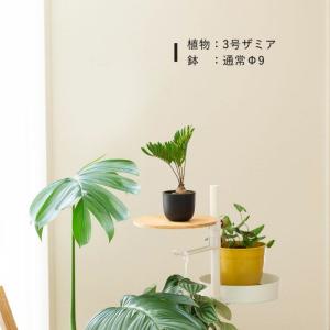 鉢 植木鉢 樹脂 おしゃれ 黒のベースポット(...の詳細画像2