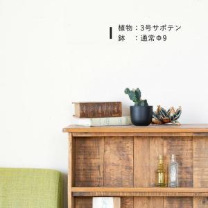 鉢 植木鉢 樹脂 おしゃれ 黒のベースポット(...の詳細画像3
