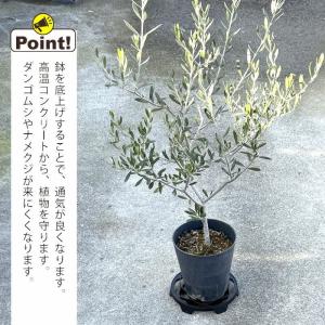 園芸 置き台 庭 花 ガーデニング 何かと使え...の詳細画像2