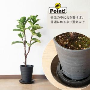 園芸 置き台 庭 花 ガーデニング 何かと使え...の詳細画像4