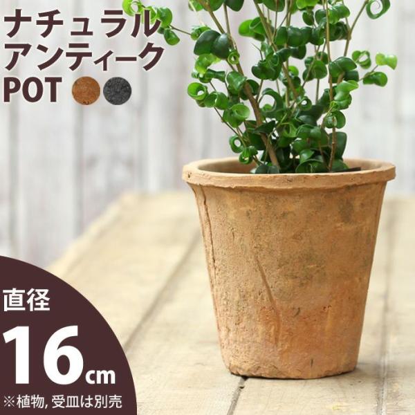 植木鉢 素焼き アンティーク モスポット 5号( アンティーク風テラコッタ）直径16cm×高さ14....