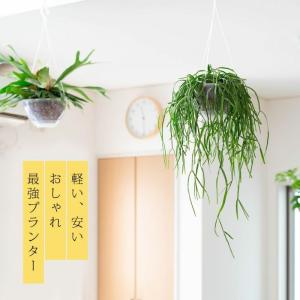 ネガミエル 透明の吊り鉢(ネガミエルAIR) ...の詳細画像2