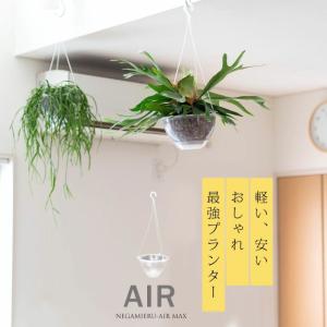 ネガミエル 透明の吊り鉢(ネガミエルAIR) ...の詳細画像3