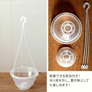 ネガミエル 透明の吊り鉢(ネガミエルAIR) ...の詳細画像4