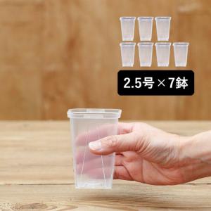 ネガミエル 透明スリット鉢 2.5号サイズ×7...の詳細画像1