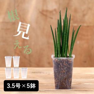 植木鉢 透明 プラ鉢 ネガミエル 透明スリット鉢[3.5号サイズ×5鉢SET]｜e-花屋さん