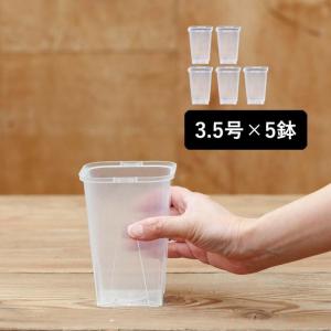 ネガミエル 透明スリット鉢 3.5号サイズ×5...の詳細画像1