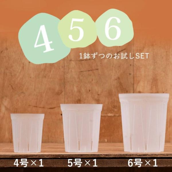 ネガミエル 植木鉢 透明 プラ鉢 透明スリット4・5・6SET [4号、5号、6号×各1]※お届けは...