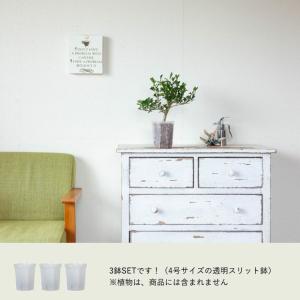 ネガミエル 透明スリット鉢 4号サイズ×3鉢S...の詳細画像1