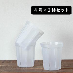 ネガミエル 透明スリット鉢 4号サイズ×3鉢S...の詳細画像5