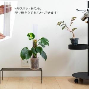 ネガミエル 透明スリット鉢 4号サイズ×3鉢S...の詳細画像4