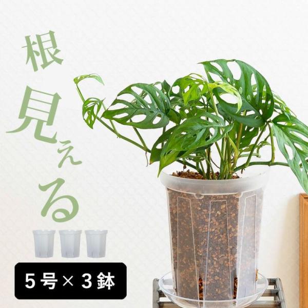 ネガミエル 透明スリット鉢 5号サイズ×3鉢SET 根が見える 浅岡園芸 プラスチック クリア 透明...