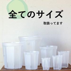 ネガミエル 透明スリット鉢 5号サイズ×3鉢S...の詳細画像2