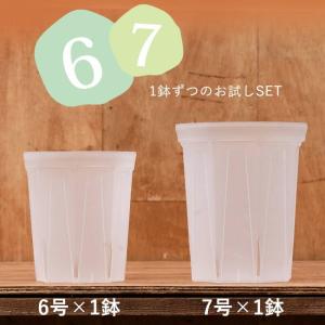 ネガミエル スリット 植木鉢 透明スリット6・7SET [6号×1、7号×1]6号鉢 7号鉢｜e-花屋さん
