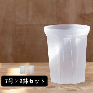 ネガミエル 透明スリット鉢 7号サイズ×2鉢S...の詳細画像4