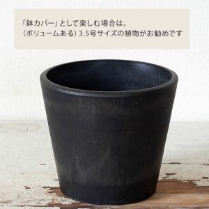 鉢 植木鉢 おしゃれ 室内 鉢カバー 植え替え...の詳細画像3