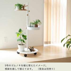 鉢 植木鉢 おしゃれ 室内 鉢カバー 植え替え...の詳細画像5