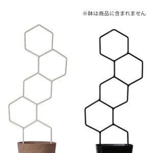 支柱 おしゃれ 六角形 あると楽しい!立てるだ...の詳細画像5