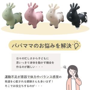 スキッピー バランストイ 乗用玩具 屋内外対応...の詳細画像3