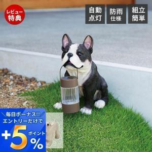 ソーラーオーナメント LED ライト 自動 点灯 犬 庭 玄関 屋外 ソーラー 防雨 防水 ガーデン ランタン 照明 間接照明 防犯 セトクラフト｜e-alamode-ys