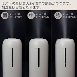 (豪華2大特典)sumuu スムウ 8L 超音...の詳細画像4