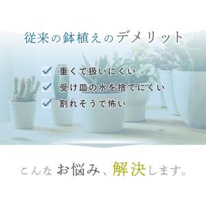 marna マーナ プラントポット 室内用 植...の詳細画像5