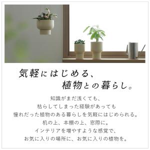 marna マーナ プラントポット 室内用 植...の詳細画像3