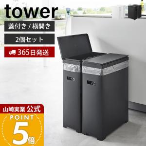 dinos（ディノス） 【45リットル×2個組】抗菌加工あり 棚下に置ける