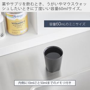 山崎実業 公式 タワー ちょこっとお薬マグネッ...の詳細画像2