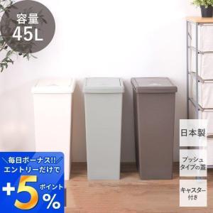 ゴミ箱 ダストボックス 45L 日本製 キャスター付き 蓋つき プッシュ 蓋 北欧 スリム 大容量 ポリプロピレン おしゃれ シンプル